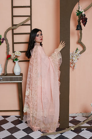 Embroidered Elegance with Flared Sleeves