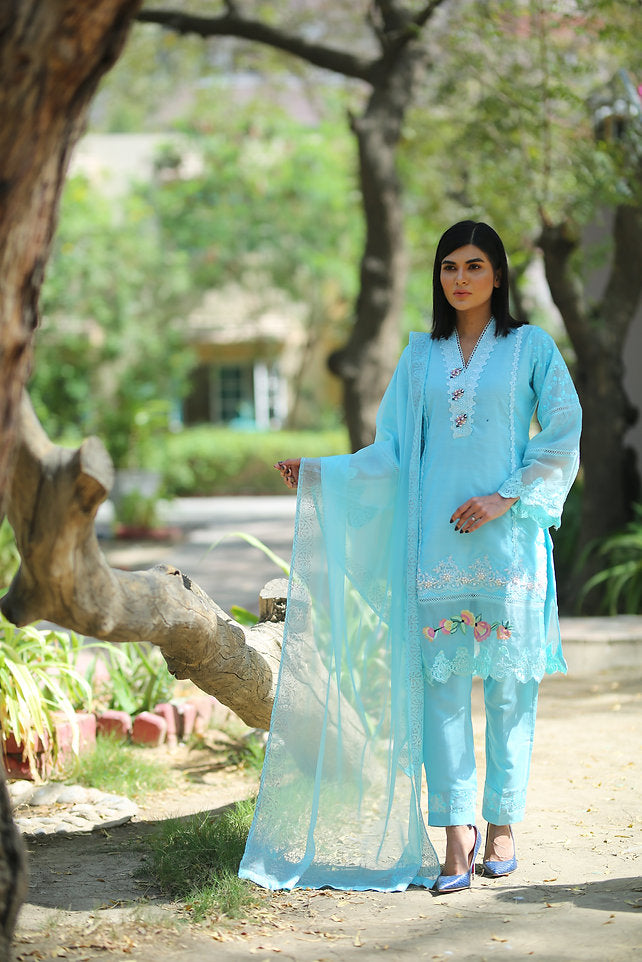 Light Blue Ethnic Selection