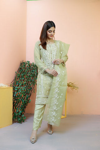 Embroidered Elegance Green Ensemble