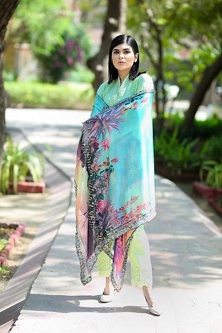 Festive Ethnic Occasion Wear