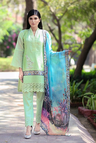 Festive Ethnic Occasion Wear