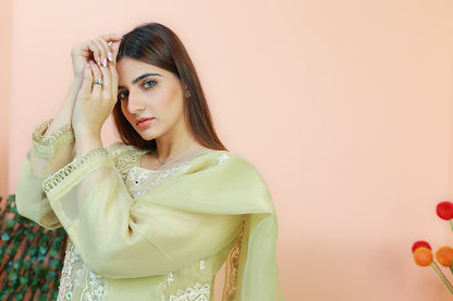 Embroidered Elegance Green Ensemble