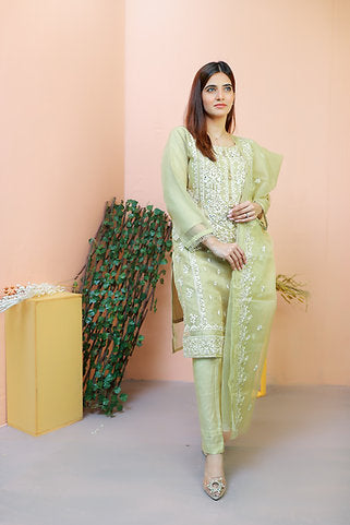 Embroidered Elegance Green Ensemble