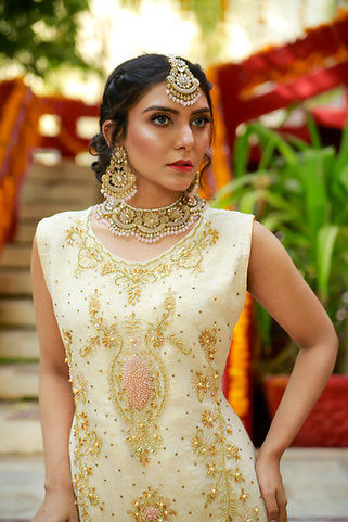 Golden Aura Embroidered Elegance