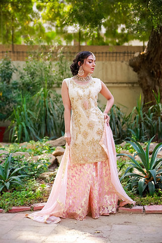 Golden Aura Embroidered Elegance