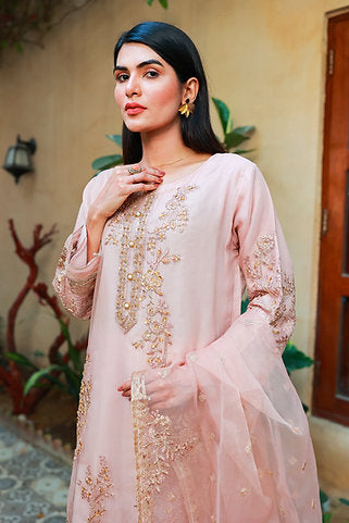 Elegant Beige Embroidered Ensemble