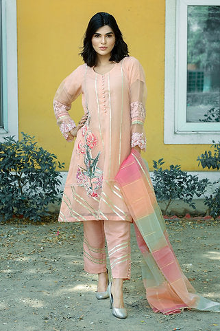 Beautiful Ethnic Occasion Ensemble