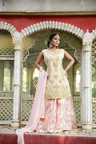 Golden Aura Embroidered Elegance