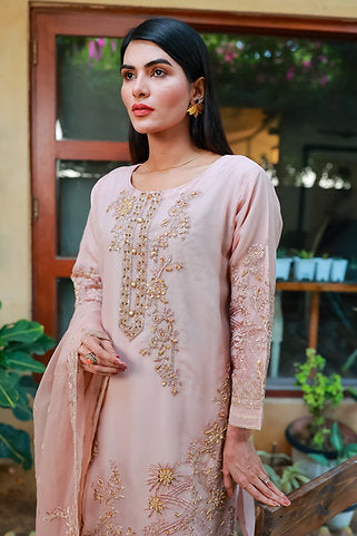 Elegant Beige Embroidered Ensemble