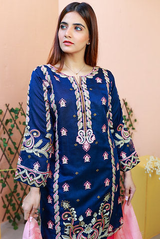 Embroidered Blue and Pink Elegant Dress Set