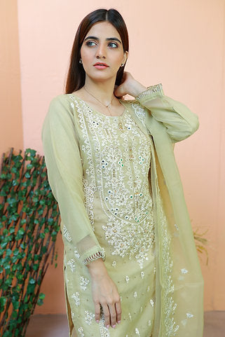 Embroidered Elegance Green Ensemble