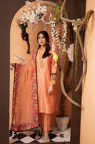 Elegant Peach Embroidered Ensemble