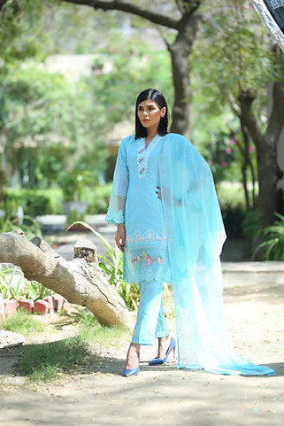 Light Blue Ethnic Selection