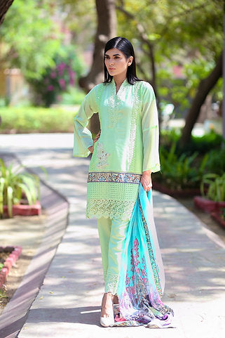 Festive Ethnic Occasion Wear